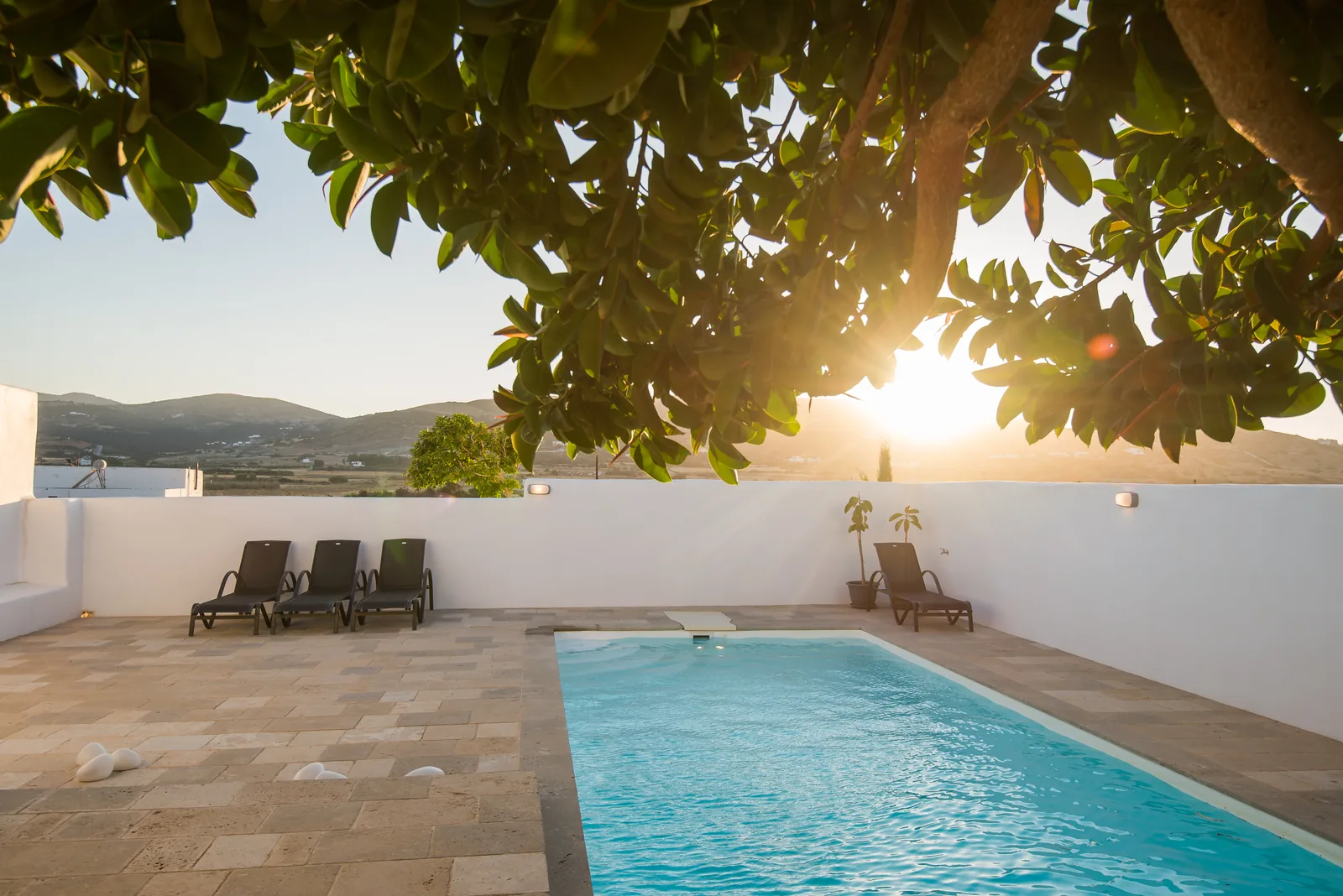 Ficus Summer House
