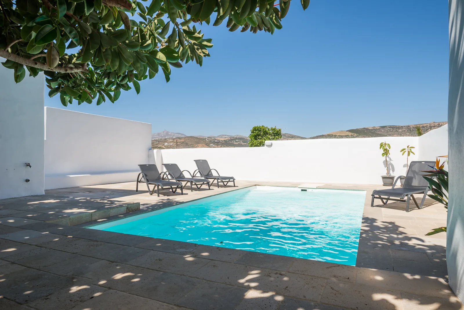 Ficus Summer House