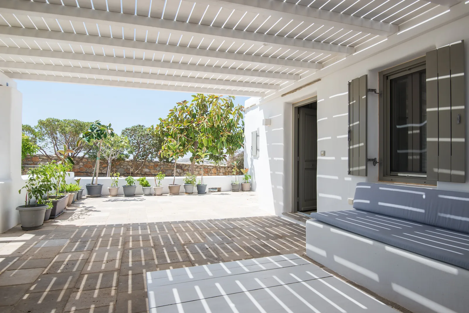 Ficus Summer House